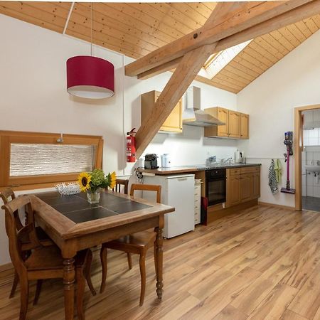 Guesthouse La Moliere, 3 Bedrooms, Private House, Horse Farm, Full Nature Murist Exterior photo