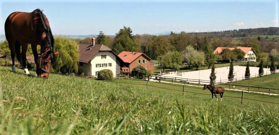 Guesthouse La Moliere, 3 Bedrooms, Private House, Horse Farm, Full Nature Murist Exterior photo